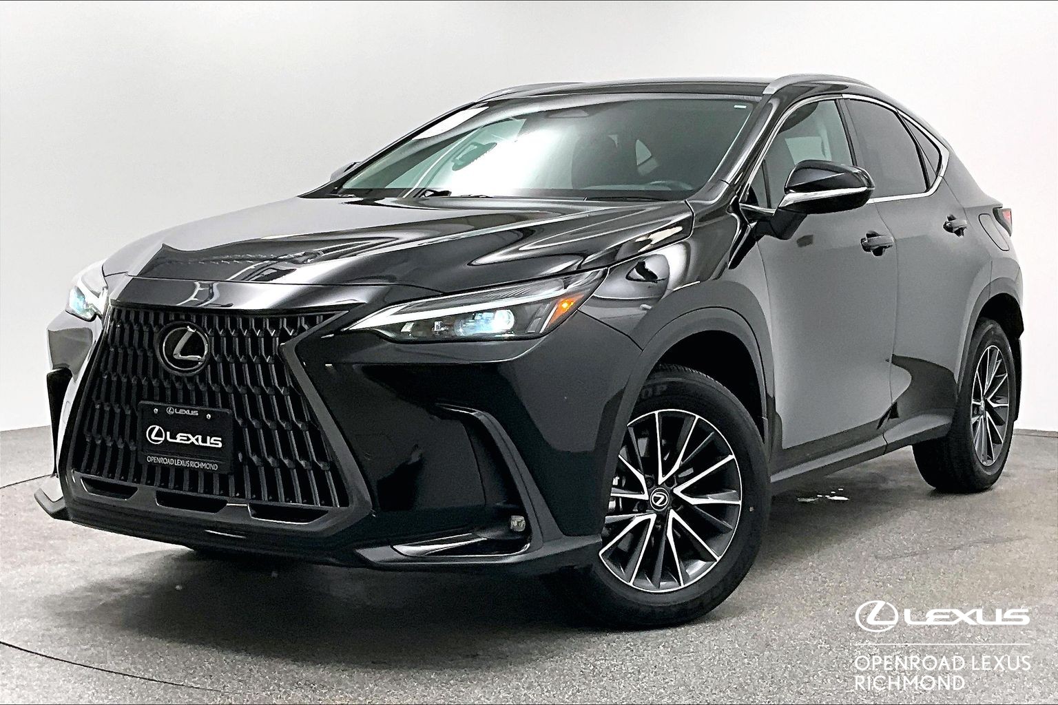 2025 Lexus NX NX 250 SIGNATURE
