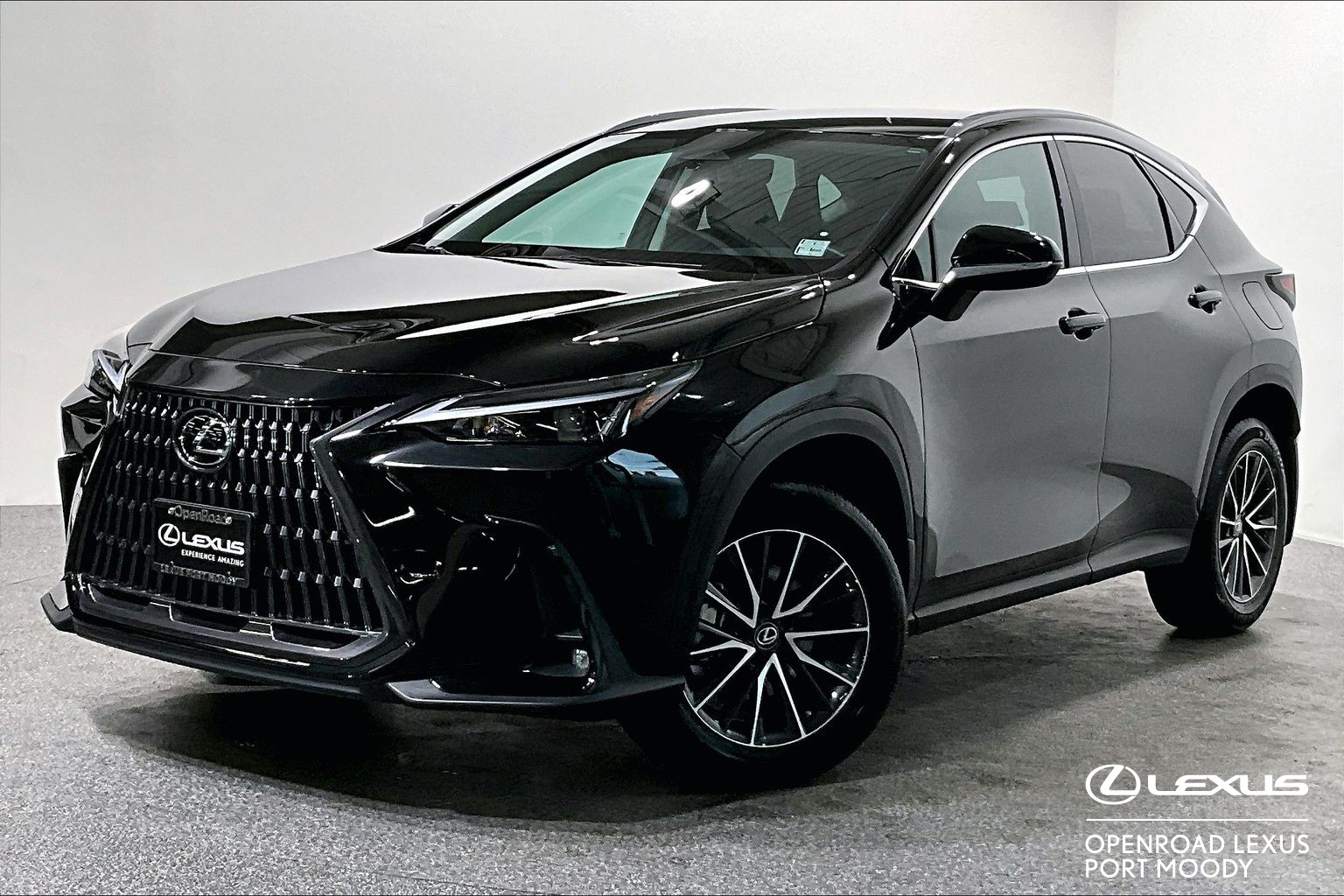 2023 Lexus NX NX 250 SIGNATURE