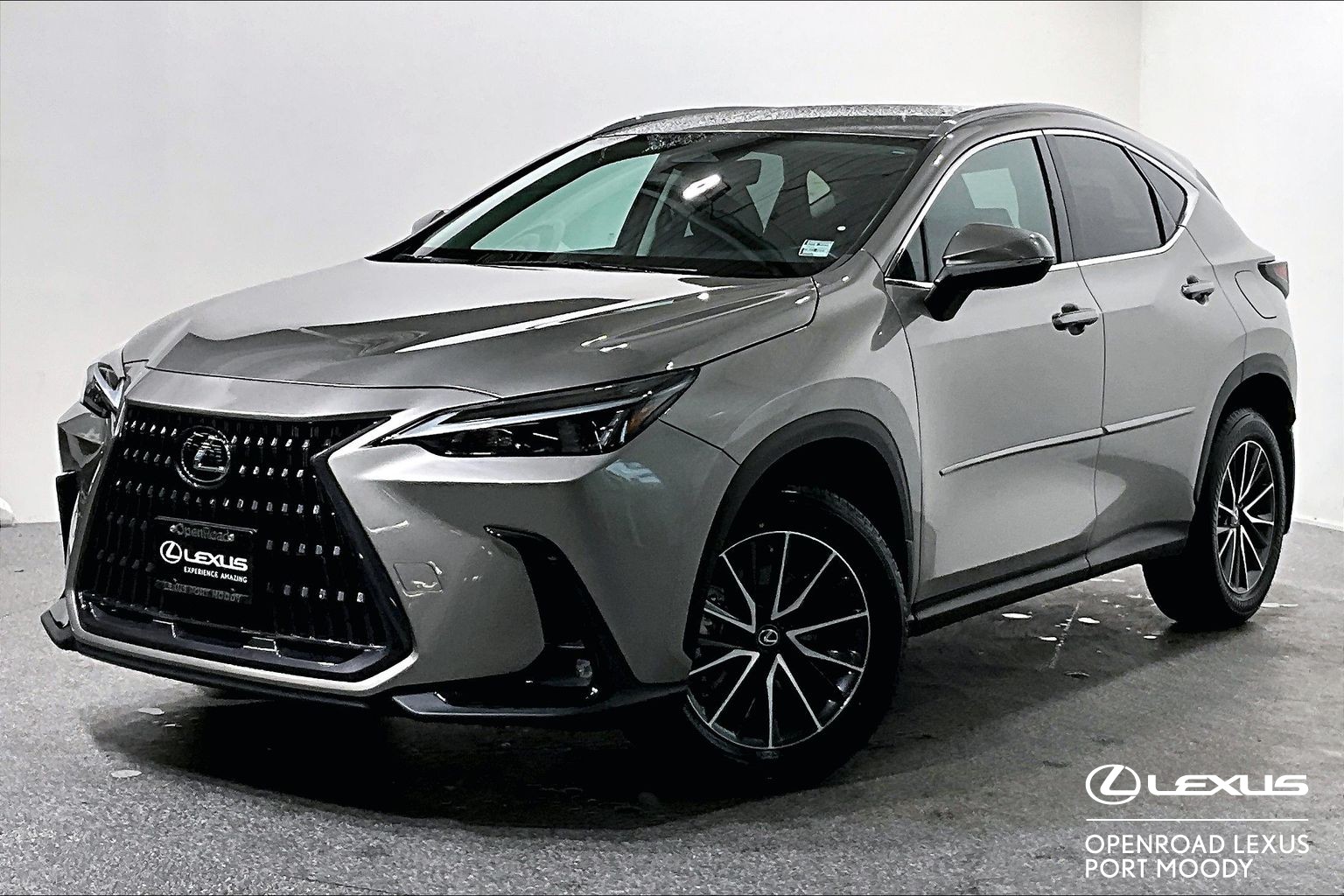 2023 Lexus NX NX 250 SIGNATURE
