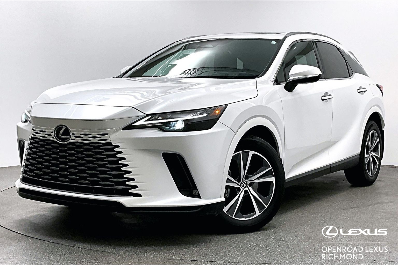 2025 Lexus RX RX 350 PREMIUM