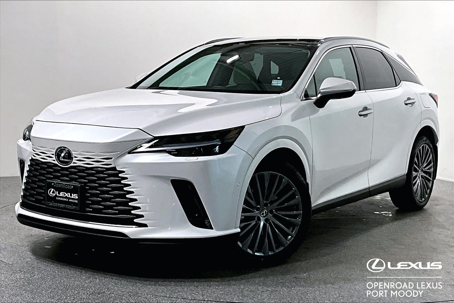 2024 Lexus RX RX 350 EXECUTIVE