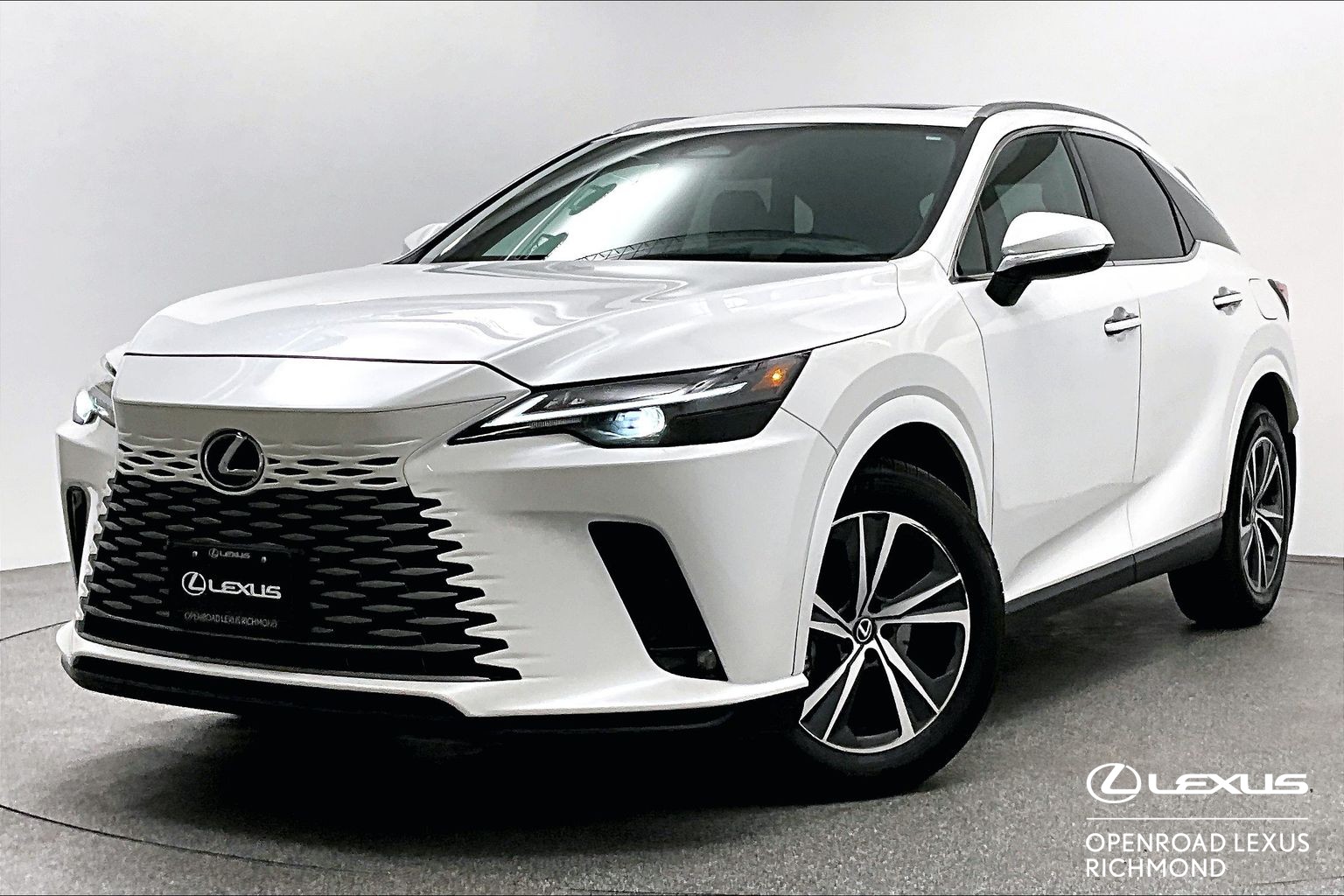 2025 Lexus RX RX 350 PREMIUM
