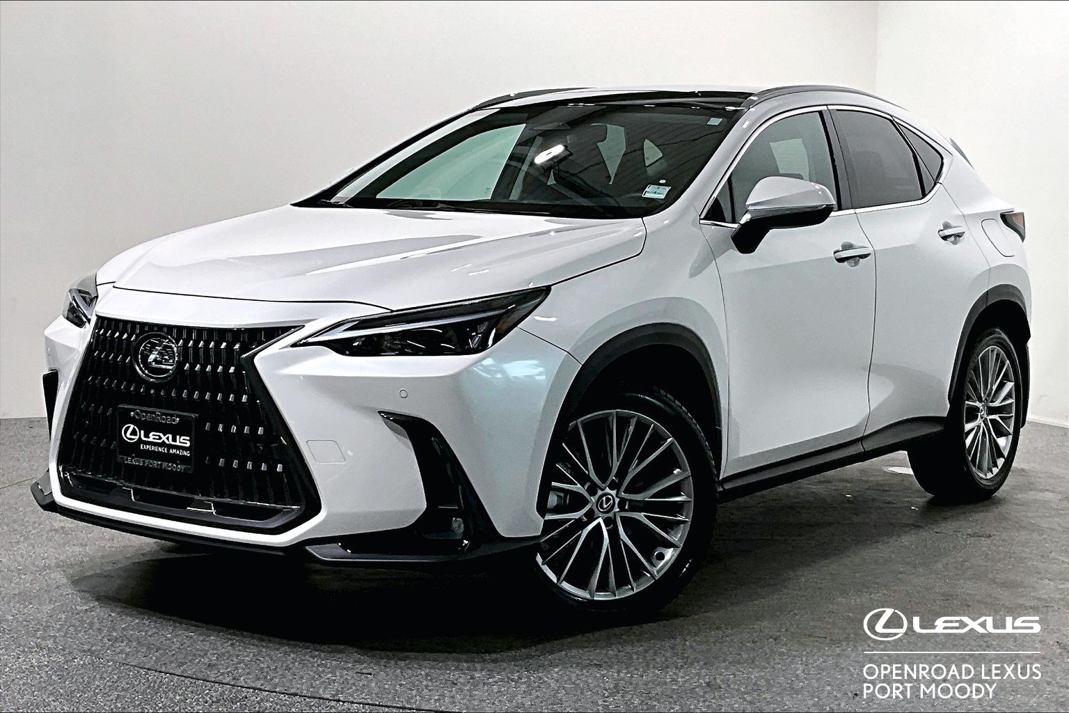 2025 Lexus NX NX 350 LUXURY