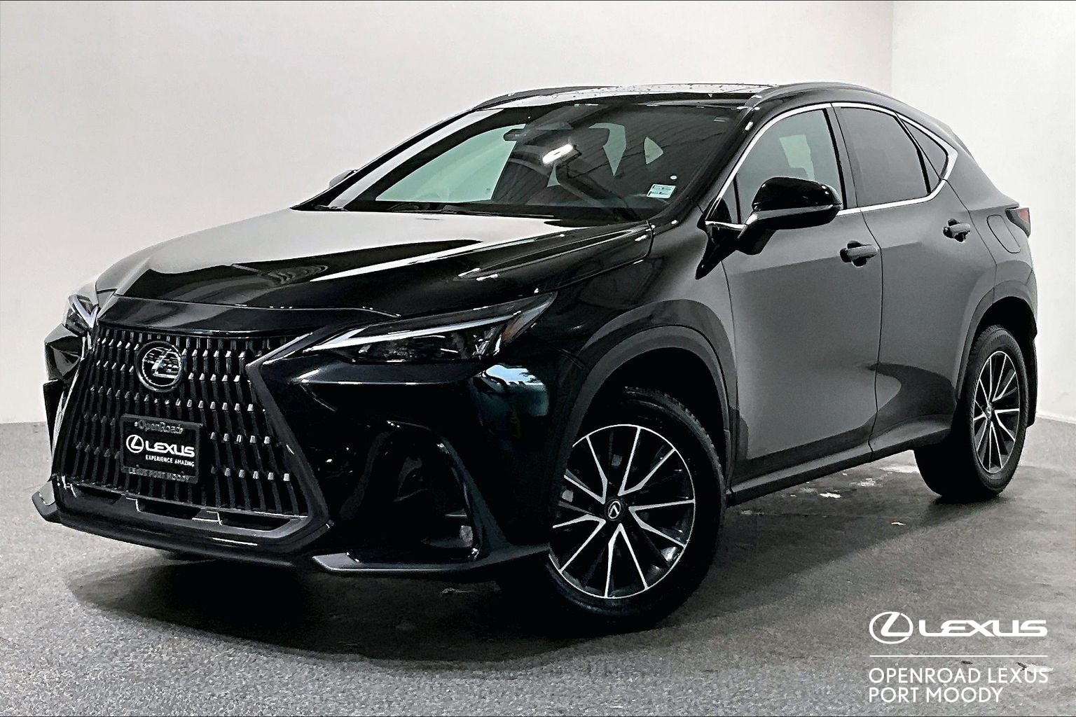 2025 Lexus NX NX 350 PREMIUM