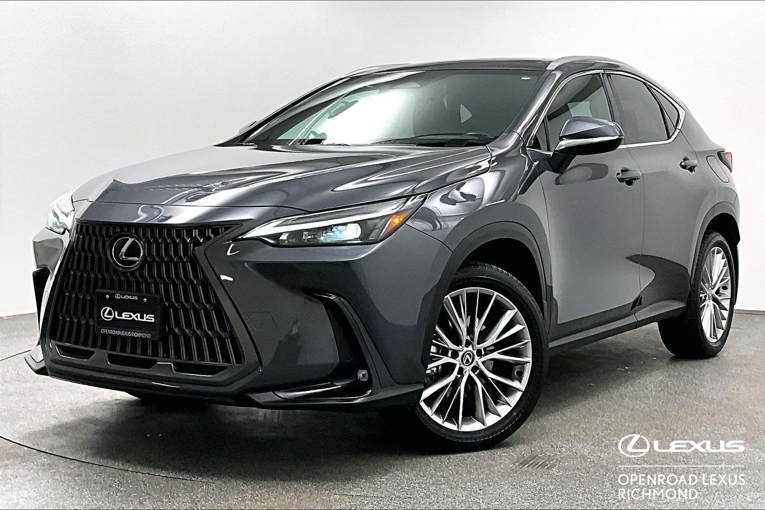 2024 Lexus NX NX 350H LUXURY