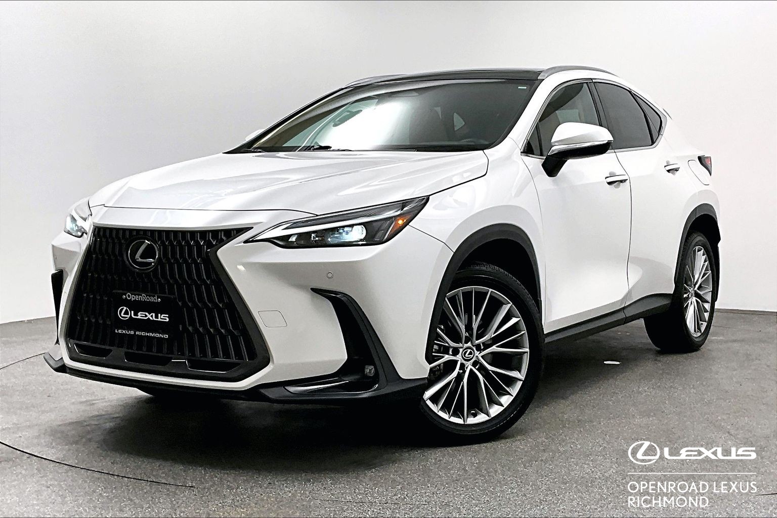 2025 Lexus NX NX 350H LUXURY
