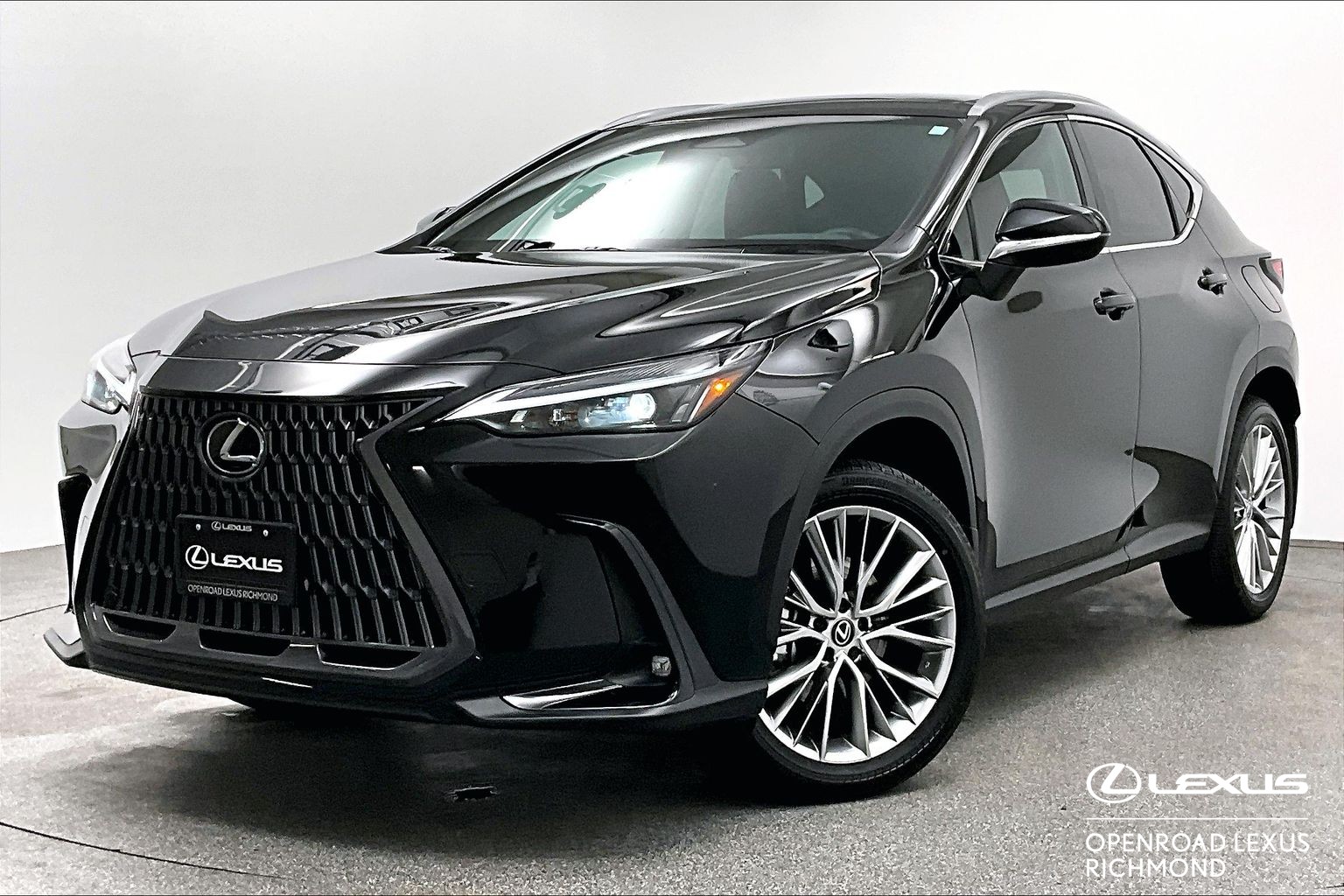 2025 Lexus NX NX 350H LUXURY