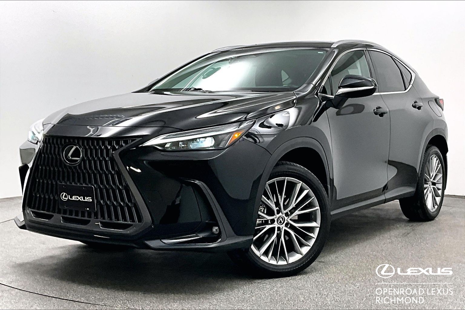 2024 Lexus NXh NX 350h AWD
