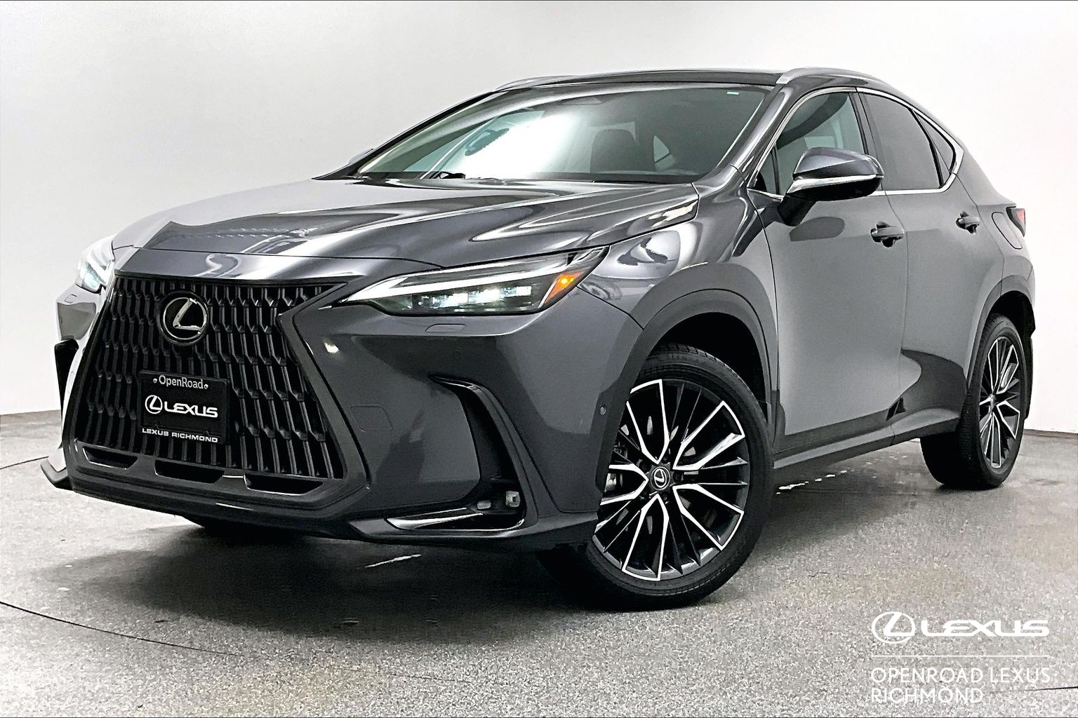 2024 Lexus NXh NX 350h AWD