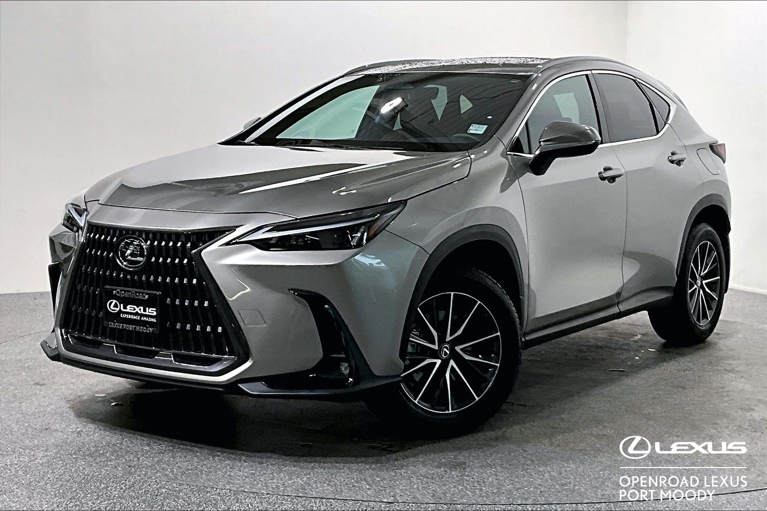2024 Lexus NX NX 350H PREMIUM