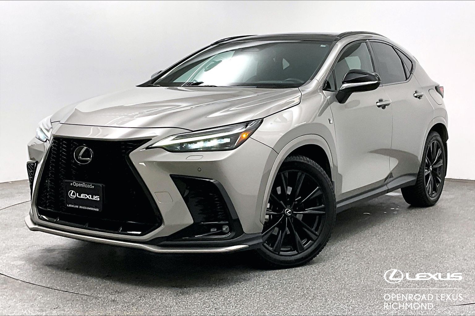 2022 Lexus NX NX 350 F SPORT 2