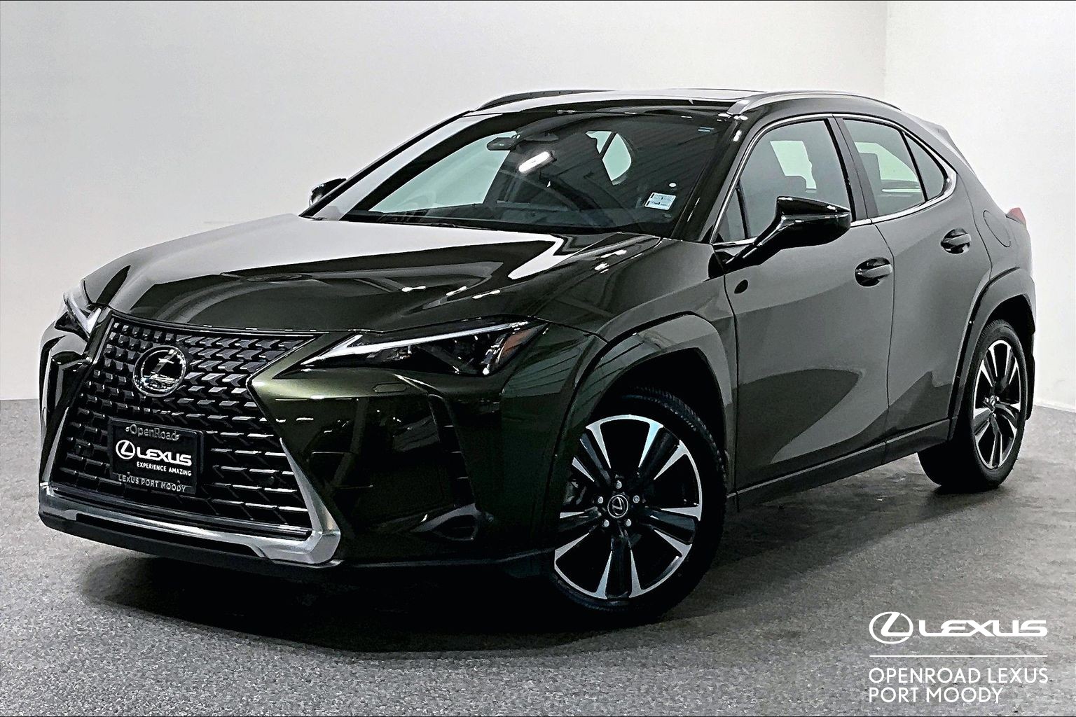 2025 Lexus UX UX 300H LUXURY